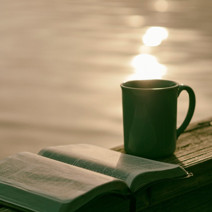 Image 2 from His Mercy Her Truth